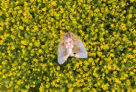 Pollenalarm im Frühling